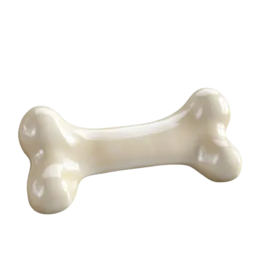 A bone on a white background