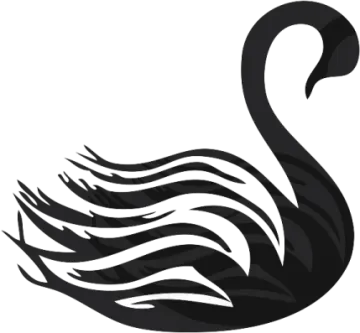 a black swan on a white background
