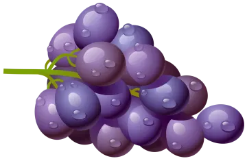 a bunch of grapes with water droplets