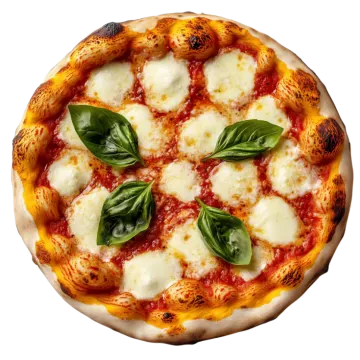 a pizza with cheese and basil leaves on it