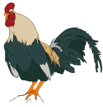 a rooster standing on its hinds