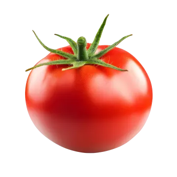 a red tomato on a white background
