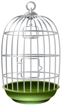 a bird in a cage