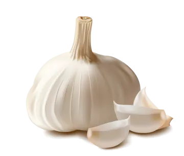 a white garlic and two pieces of garlic