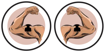 two images showing the biceps and biceps muscles
