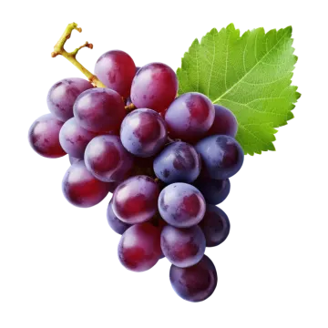 a bunch of grapes on a white background