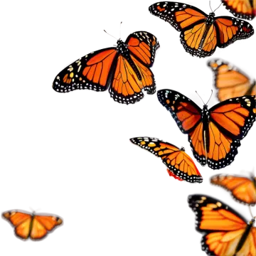 a group of orange butterflies flying in the air