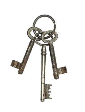 a bunch of keys on a white background