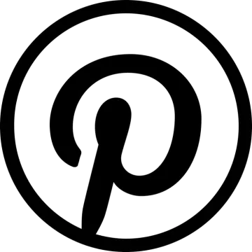 a black and white image of a pin icon