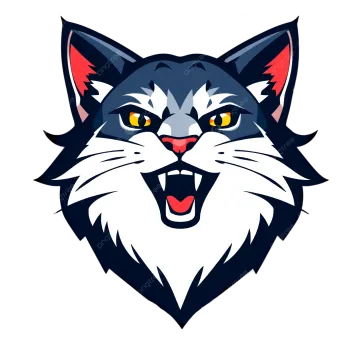 a black and white cat's face with yellow eyes
