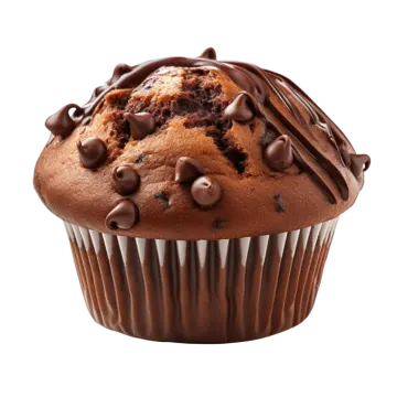 a chocolate cupcake with chocolate chips on top