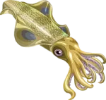 an octopus is shown in this illustration