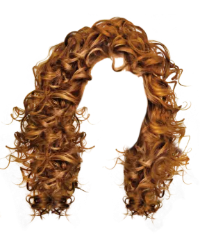 a curly wig on a white background