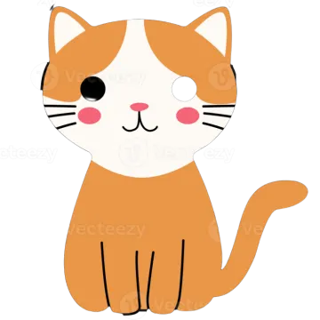 an orange and white cat with black eyes
