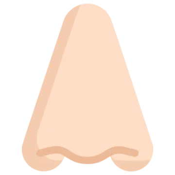 an illustration of a cone on a white background