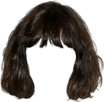 a wig with long brown hair and bangs