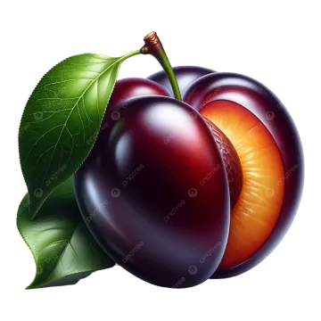 two plums with leaves on a white background