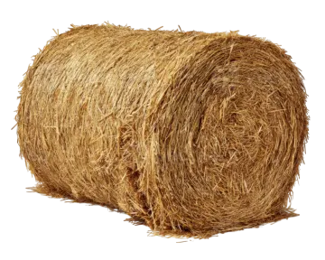 a roll of hay on white background