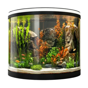 a fish tank filled with plants and rocks