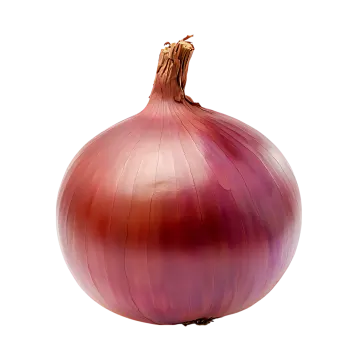 a red onion on a white background