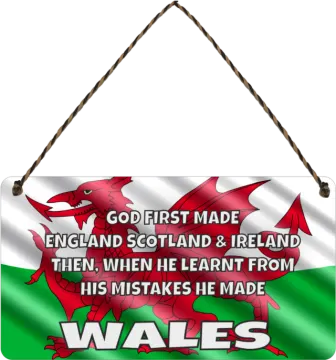 a welsh flag hanging on a wall