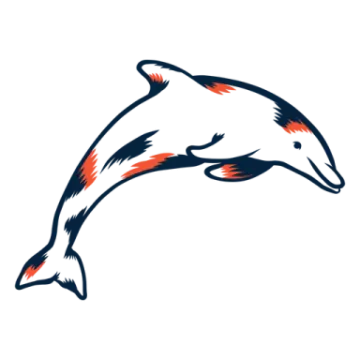 a dolphin jumping out of the water
