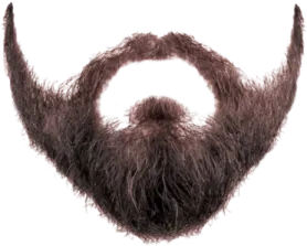 a man's beard with long brown hair