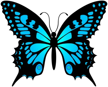 a blue butterfly on a white background
