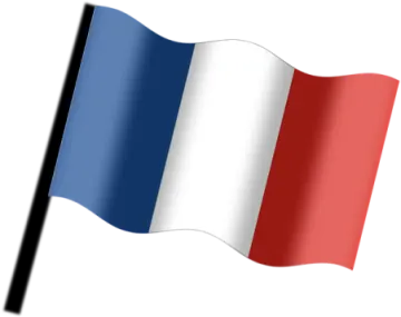 the french flag