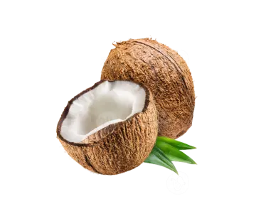 a coconut with a green leaf on it