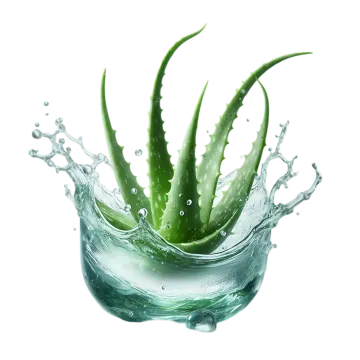 a green plant with water splash on it