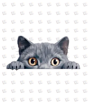a gray cat peeking out from behind a white wall