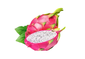 dragon fruit on a white background