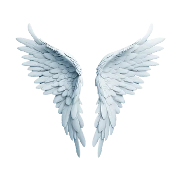 a pair of white wings on a white background