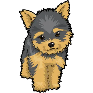 a small dog with brown and black hair