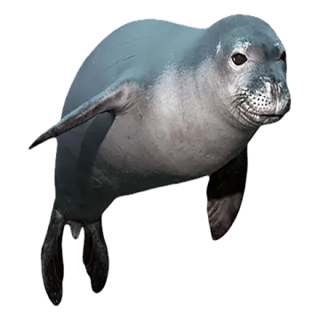 an image of a seal on a white background