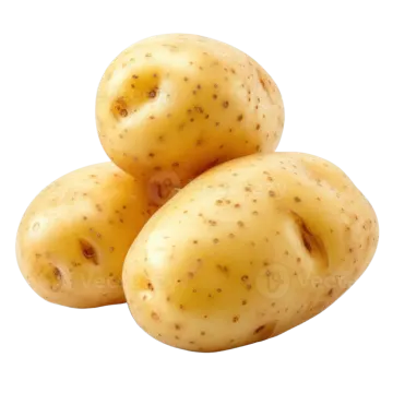 three potatoes on a white background