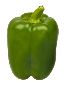 a green pepper on a white background