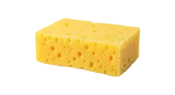 a sponge on a white background