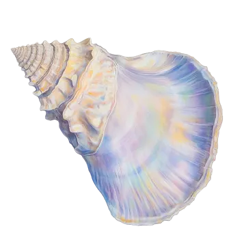 a painting of a seashell