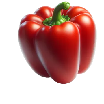 a red pepper on a white background