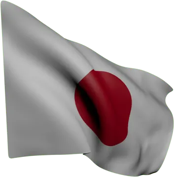 a gray and red flag