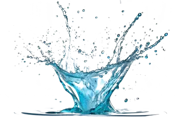 a splash of water on a white background