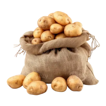 potatoes in a sack