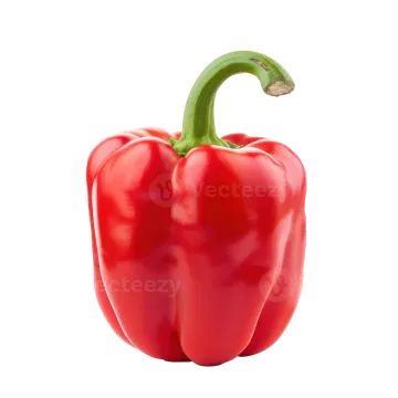 A red pepper on a white background