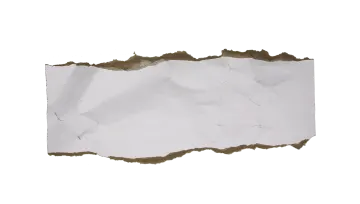 a piece of torn paper on a white background