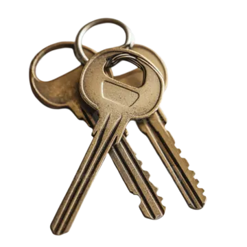 a bunch of keys on a white background