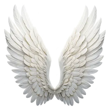 a pair of white wings on a white background