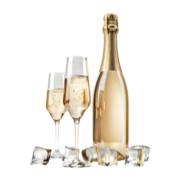 a bottle of champagne and two glasses of ice