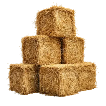a pile of straw bales on a white background